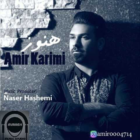 Amir Karimi Hanooz